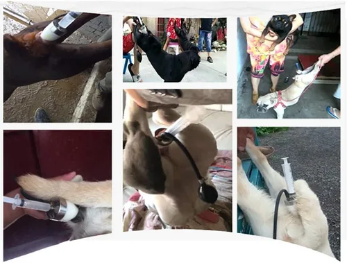 Vista 7 de iDili Jeringa de insemina artificial para perros profesionales, jeringa de inseminación de silicona artificial de imitación natural de inseminación