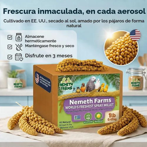 Vista 5 de Nemeth Farms Spray Millet - Tapas comestibles solamente, sin OMG y secado al sol, 1 libra para periquitos, canarios y pinzones