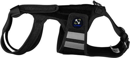 Vista 2 de Coodeo Soporte de espalda para perros para artritis, soporte de espalda para mascotas para IVDD, protector de espalda ayuda a aliviar el dolor