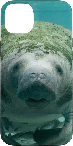 Vista 15 de Manatee Case for iPhone 17