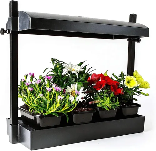 Vista 2 de SunBlaster T5HO - Micro Growlight Garden para interiores, kit de cultivo en casa, color blanco
