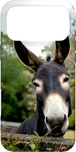 Vista 22 de Funda Donkey para iPhone 17