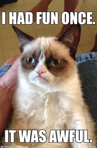 Vista 12 de Trends International Grumpy Cat - Póster de pared divertido, 22.375 x 34 pulgadas, versión enmarcada plateada Versión con marco plateado