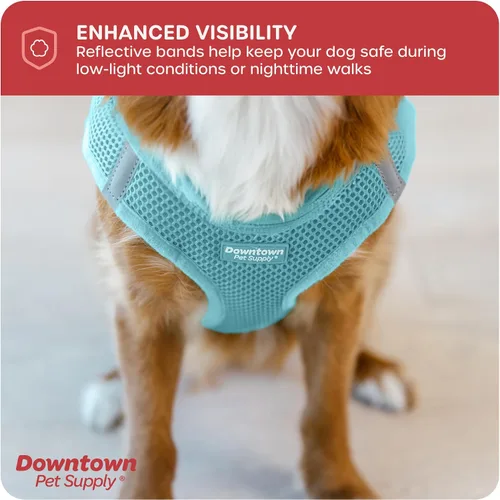 Vista 147 de Downtown Pet Supply Arnés para perro Step-in – Sin tirones, malla acolchada ajustable con ribete reflectante, correa de hebilla segura – Arnés