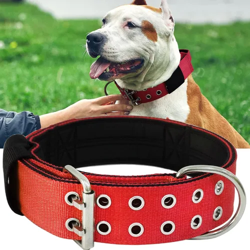 Vista 12 de Collar de perro grande resistente – 2 pulgadas de ancho con asa para perros de razas extra grandes, collar táctico de nailon a prueba de mordidas