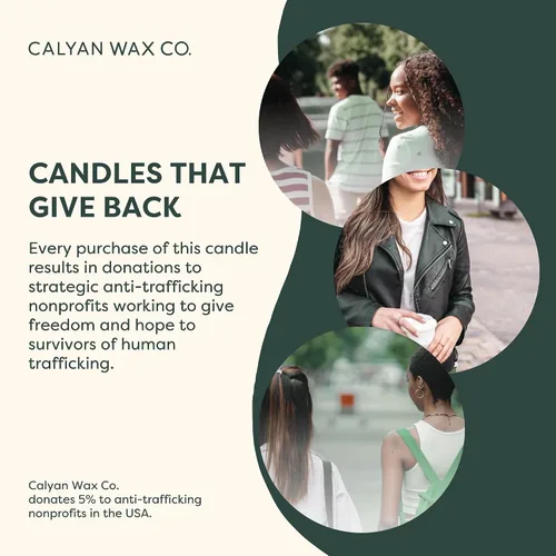 Vista 9 de Calyan Wax Co. Evergreen & Eucalyptus - Vela perfumada de 3 mechas - 43 horas de combustión - Velas de soja de lujo de 3 mechas - Velas de cera