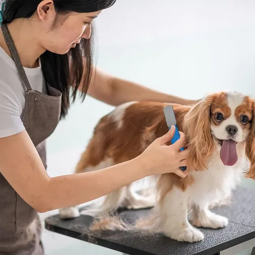 Vista 7 de Pelar con bordes de diamante de metal para perros, gatos y mascotas con agarre de plástico (fino)