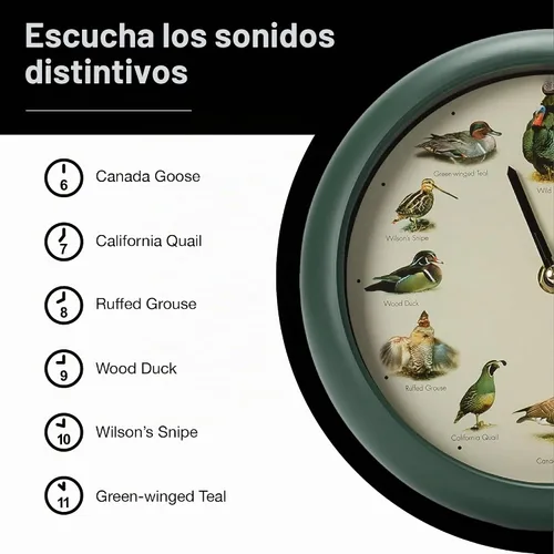 Vista 6 de Mark Feldstein, reloj cantando aves de caza salvaje de América del Norte, 8 pulgadas, verde