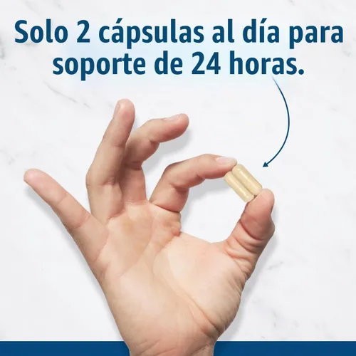 Vista 2 de Dr. Stephanie's 24 Hour Support - Suplemento una vez al día - Paquete de 2