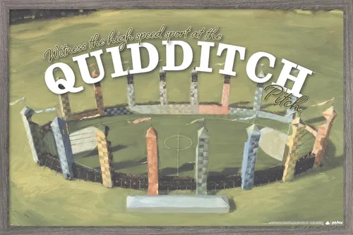 Vista 12 de Trends International El mundo mágico: Harry Potter - Póster de pared de Quidditch de testigo Versión con marco de bronce
