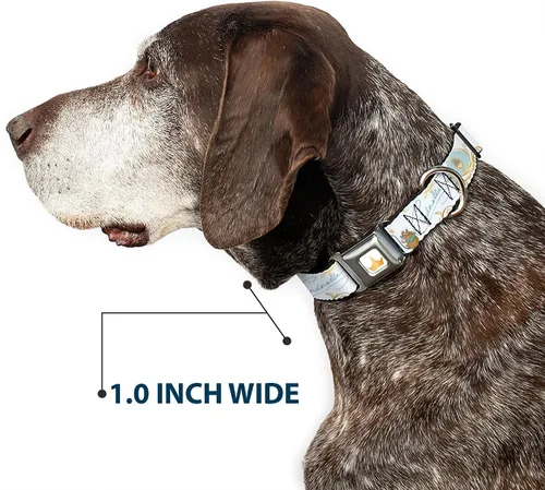 Vista 6 de Collar de perro con hebilla de cinturón de seguridad Cenicienta Calabaza Entrenador y ratones Pose con Script Blues 9.5 a 13 pulgadas 1.0 pulgadas