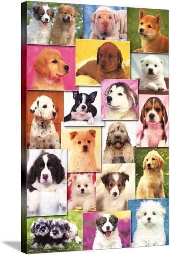Vista 5 de Trends International Keith Kimberlin - Póster de pared de cuadrícula de cachorros, 14.72 x 22.37 pulgadas, lienzo estirado