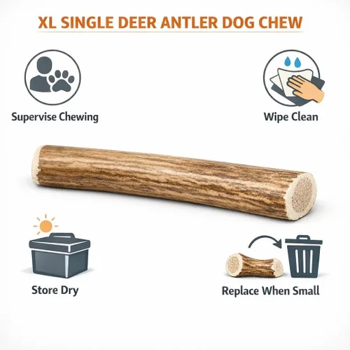 Vista 5 de XL - Cuerno de ciervo masticable para perros grandes, paquete individual de 6 a 8 pulgadas