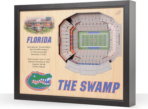Vista 45 de YouTheFan NCAA Arte de Pared StadiumView de 25 Capas