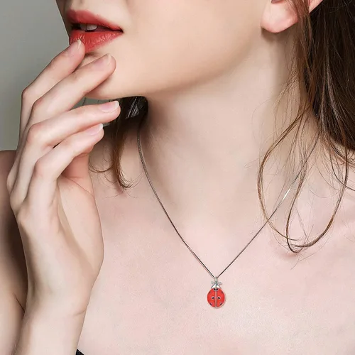 Vista 4 de Collar con medallón de mariquita que sostiene fotos de plata de ley 925 collar de mariquita regalo de joyería para mujeres y madres cumpleaños