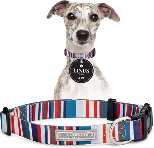 Vista 45 de Lucky Love Dog - Collar de perro ajustable con hebilla de fácil clic para los pequeños, duradero y cómodo para perros machos y hembras, collar