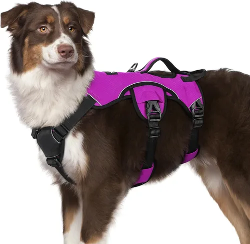 Vista 11 de rabbitgoo - Arnés para perros a prueba de fugas, arnés para mascotas acolchado y suave de cuerpo completo, arnés reflectante ajustable sin tirones