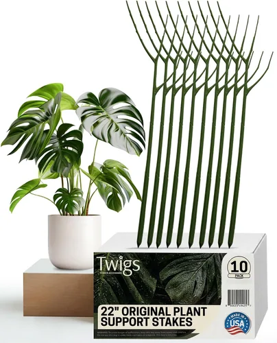 Vista 8 de Twigs GA - Estacas de soporte para plantas para uso en interiores y exteriores, alternativa duradera de enrejado para plantas trepadoras