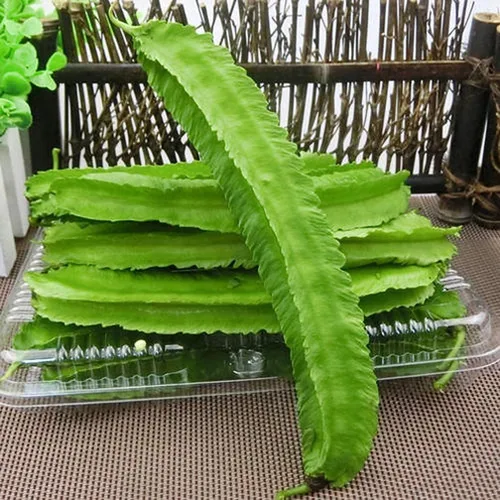 Vista 5 de Semillas de frijol aladas Psophocarpus verde natural Tetragonolobus 100PCS Semillas