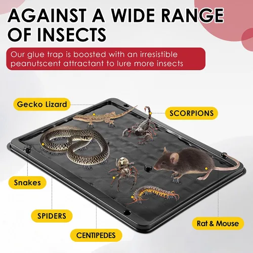 Vista 3 de Qualirey - Paquete de 8 trampas grandes de pegamento para ratas y ratones, 11.8 X 9.84 pulgadas, trampas grandes y resistentes para ratones
