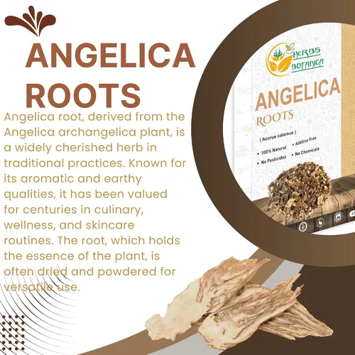 Vista 4 de Herbs Botanica Angelica Root - Hierba angélica de corte suelto y tamizado Ángel de hierbas Angelica Archangelica para té de hierbas, para hornear