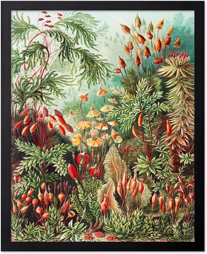 Vista 95 de Poster Master Póster clásico, impresión expresionista vintage, regalo para artistas, amigos, animales en un recinto, horquilla, abstracto, cubismo