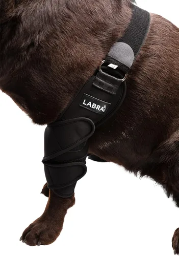 Vista 7 de Labra Dog Canine K9 - Soporte para aliviar el dolor de callos en el hombro y codo de hombro, protector de masticación de heridas de higroma