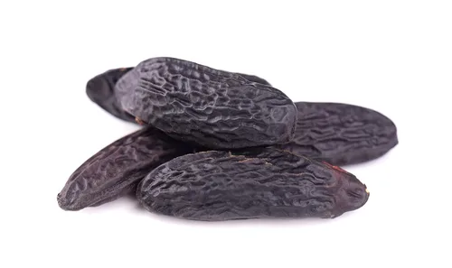 Vista 5 de 5 Granos de Tonka Premium - Granos de Tonka Naturales Enteros - 100% Tonquín Crudo y Puro, Fragancia Fuerte (Vainas Dipteryx Odorata Tonkin). Granos