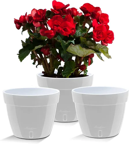 Vista 14 de Santino Macetas de 4.9 Pulgadas ORCHIDEA de Riego Automático para Orquídeas en Grafito - Maceta Decorativa para Sembrar con Excelente Aireación