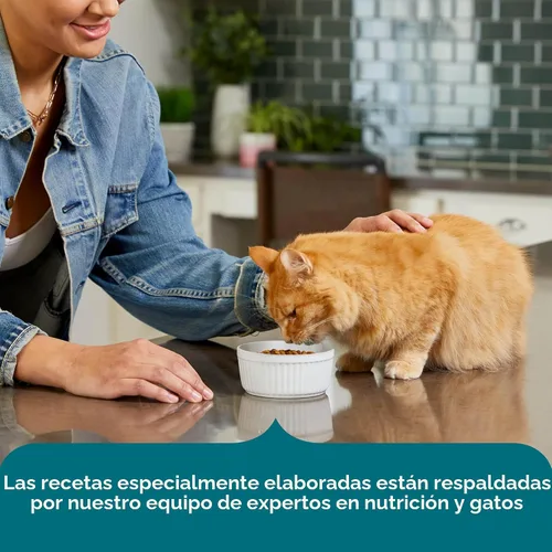 Vista 6 de Nutrish Rachael Ray Alimento seco para gatos Receta de salmón real y arroz integral, bolsa de 2.5 libras
