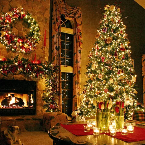 Vista 6 de Techip 300 luces LED para árbol de Navidad al aire libre, luces de Navidad blancas cálidas para exteriores impermeables centelleantes, alambre
