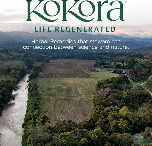 Vista 7 de kokora Adapt & Thrive - Apoyo energético y suprarrenal, alivio del estrés, relajación* - Polvo de hongos adaptogénicos orgánicos con Ashwagandha