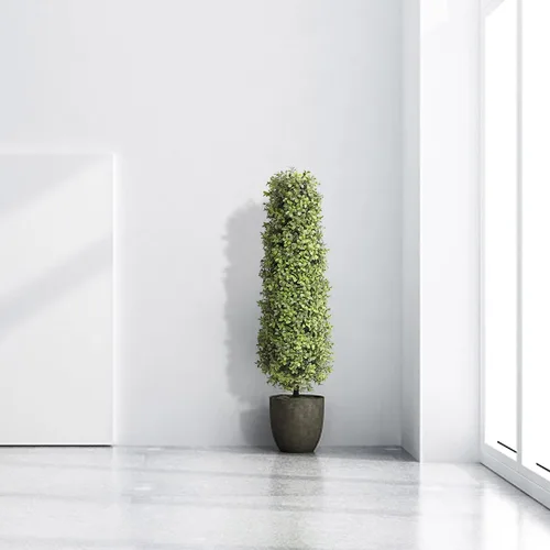 Vista 6 de momoplant Plantas artificiales en forma de árbol de boj de 3 a 35 pulgadas, topiarios, arbustos, plantas falsas en maceta, decoración