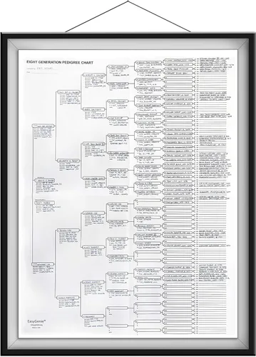 Vista 6 de EASYGENIE Gráfico del pedigrí (8 generaciones/256 nombres), hoja única
