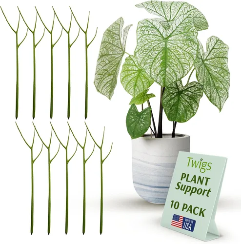 Vista 7 de Estacas de soporte para plantas para uso en interiores y exteriores, alternativa duradera de enrejado para plantas trepadoras y en maceta