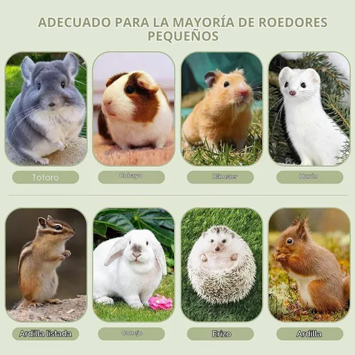 Vista 7 de ERKOON Timothy - Palitos de heno, juguetes masticables de conejo para dientes, palitos molares naturales, golosinas para conejitos, conejillos