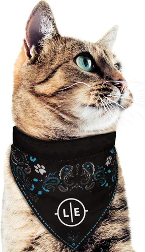 Vista 5 de Bandana para mascotas BYU en azul y blanco