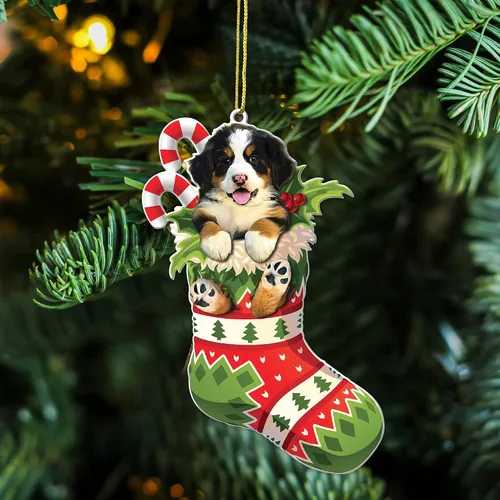 Vista 4 de Adorno acrílico plano de Navidad para perro de montaña bernés, adorable cachorro de montaña bernés en calcetín con bastones de caramelo, decoración
