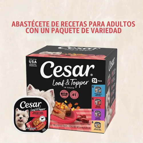Vista 11 de Cesar Loaf & Topper - Alimento húmedo para perros, fiesta de tocino, 3.5 onzas, 12 unidades, paquete de 2
