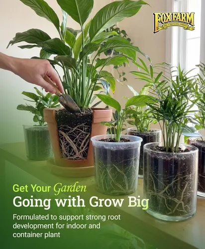 Vista 6 de FoxFarm Grow Big - Alimento líquido para plantas en floración - Fertilizante para flores, frutas y verduras, perfecto para plantas en macetas