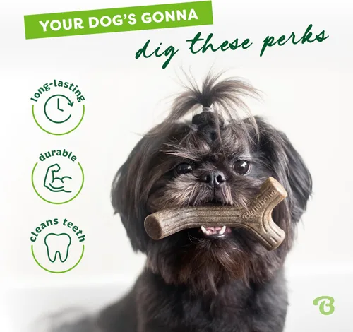 Vista 3 de Benebone Maplestick - Juguete para morder de madera real duradero para perros, fabricado en Estados Unidos, tamaño L Huesos de perro duraderos