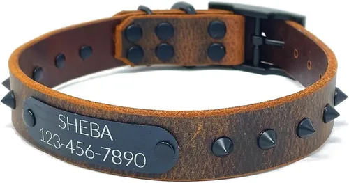 Vista 7 de Personalized Spiked Bridle Leather Dog Collar, Engraved Matte Black Metal Nameplate (Mustard Yellow)