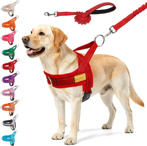 Vista 28 de BEAUTYZOO Arnés para Perros Pequeños, Juego de Arnés y Correa sin Tirones, Arnés de Pecho para Cachorros a Prueba de Escapes con Mango, Arnés Beige