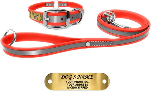 Vista 19 de Regal Dog Products Collar de perro reflectante negro pequeño con placa de nombre grabada personalizada y anillo central resistente Collares