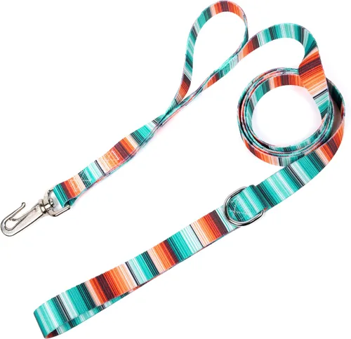 Vista 21 de Country Brook Design® Correa para perro Native Arizona de 1 pulgada - 6 pies Arizona nativa
