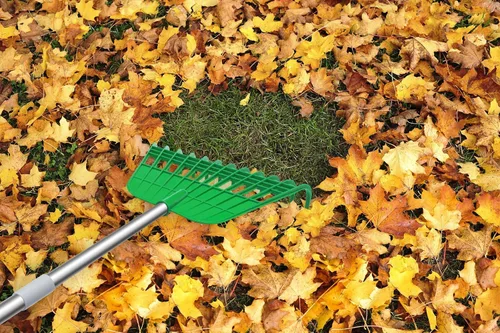 Vista 9 de Gardzen - Cucharilla de hojas (tamaño grande, 12 dientes, para jardinería)