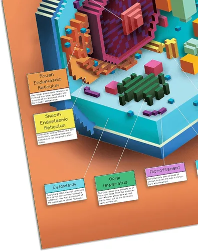 Vista 2 de hBARSCI CellCraft - Juego de póster de células de animales y plantas, 2 gráficos de estructura de células de videojuegos, 24 x 36 pulgadas cada uno