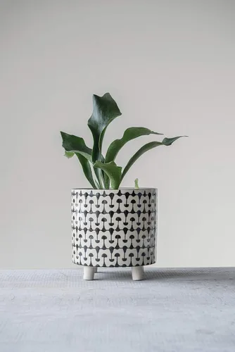 Vista 2 de Creative Co-Op - Macetas redondas de gres con estampados geométricos, blanco y negro