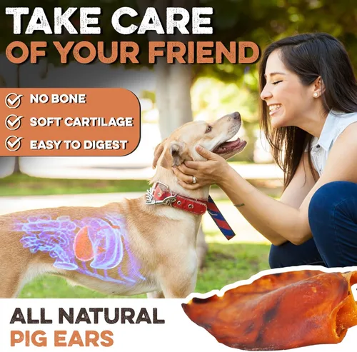 Vista 5 de BRUTUS & BARNABY Orejas de cerdo enteras para perros, 12 unidades – Masticables para perros de un solo ingrediente totalmente naturales, cocinados a