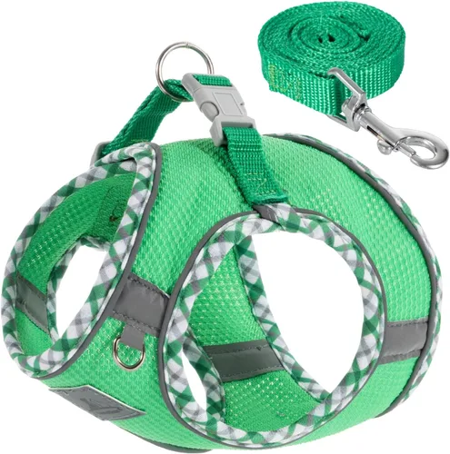 Vista 9 de Juego de arnés y correa para perro, arnés sin tirones para perros pequeños, fácil caminar, suave y transpirable, arnés para perros pequeños, arnés